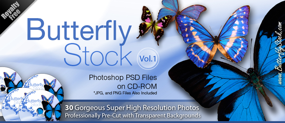Butterfly Stock Photo's Photoshop PSD Butterflies