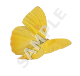 Yellow Butterfly